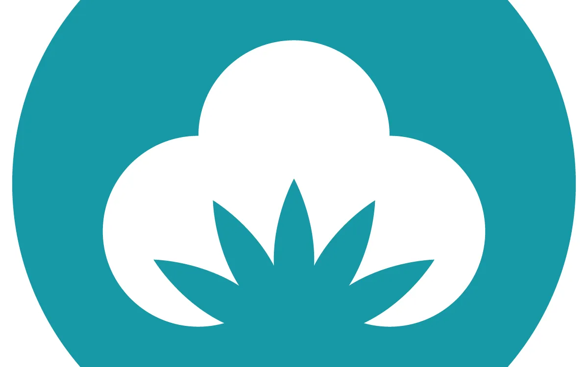 MerchCamp