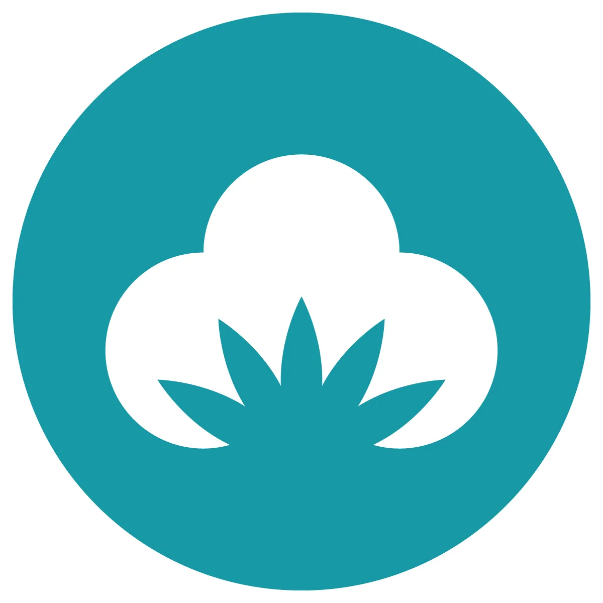 https://cdn.shopify.com/app-store/listing_images/5c88d8fc61a04362596a4cfec218ad1f/icon/CJTEjPHnq_oCEAE=.png