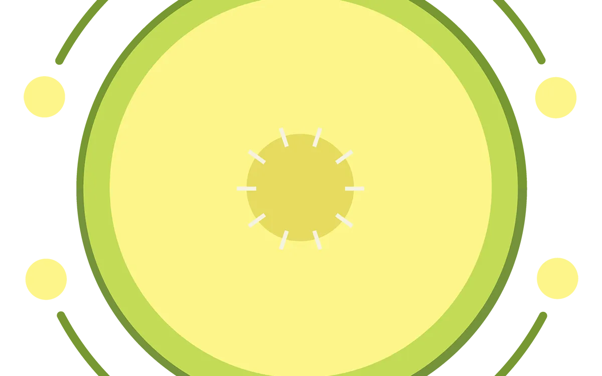 PrintMelon