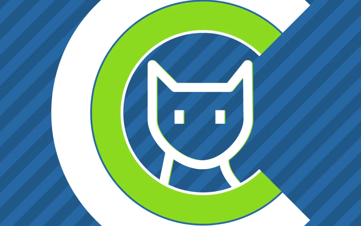 Custom Cat