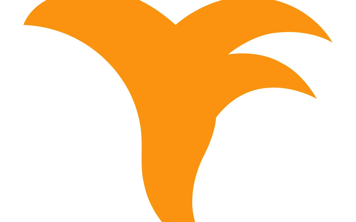 Yoycol