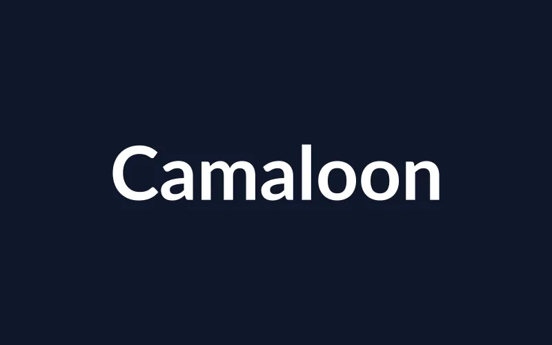 https://placehold.co/800x500/0f172a/ffffff?text=Camaloon